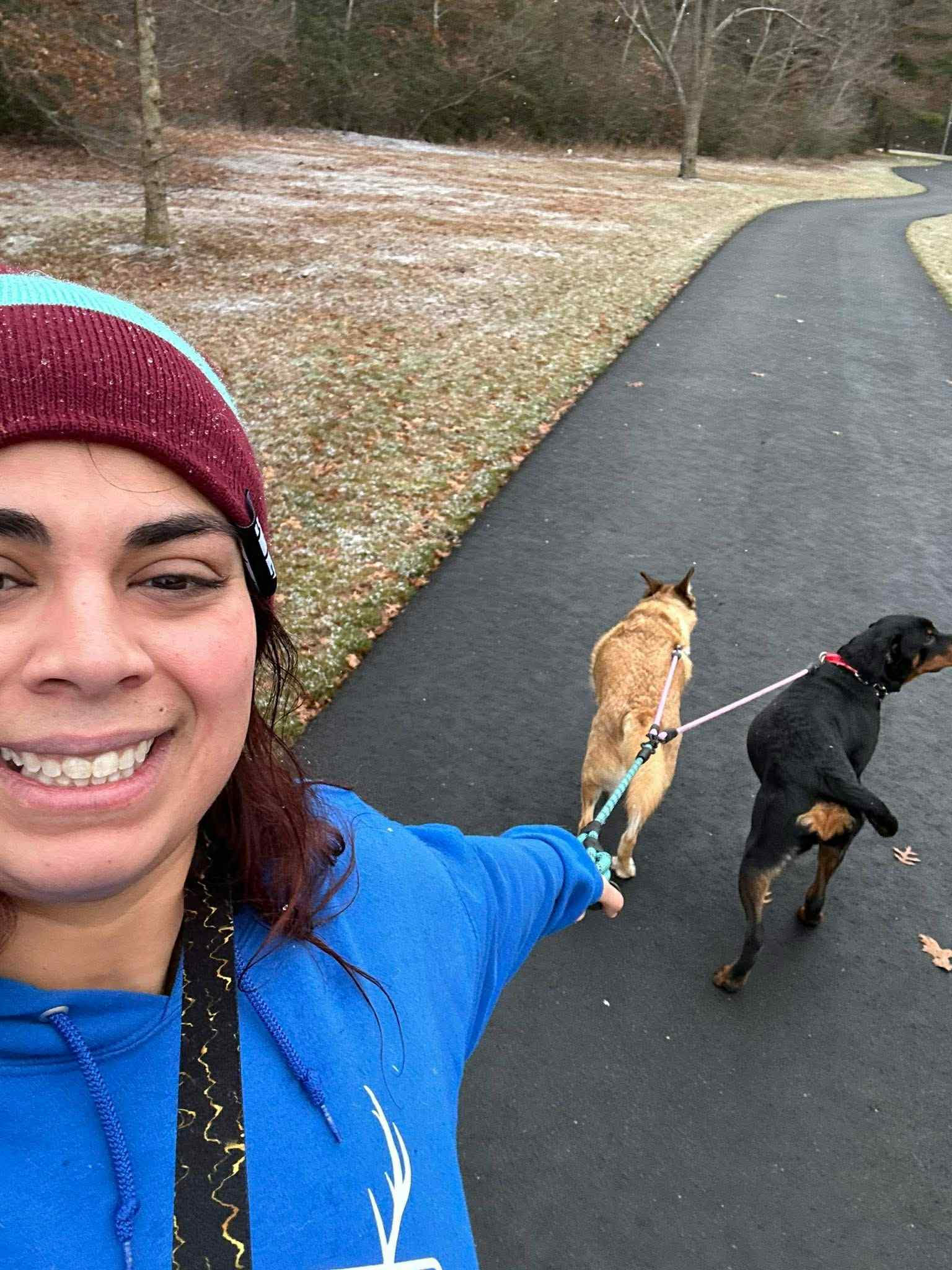 Happy dog on a walk